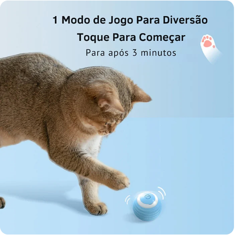 Bola magica gato feliz diversão garantida .